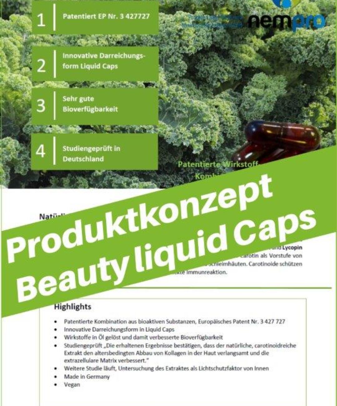 Produktkonzept Beauty Liquid Caps